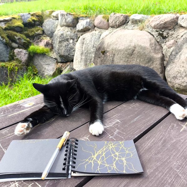 Vienmēr klātesošais Pifs