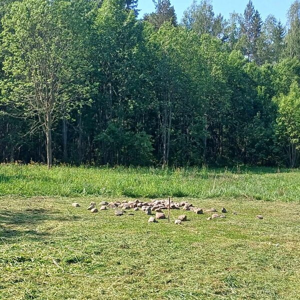 Pirmais lielais kopīgais darbs - Maģiskā rata iekārtošana meža pļavā.