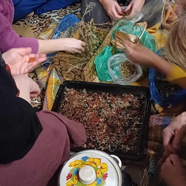 Sagatavojam spēka augus Nodomu sveču radīšanai.