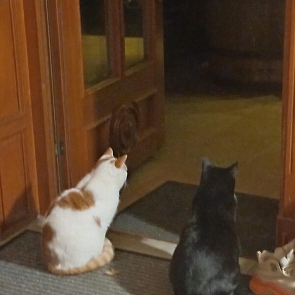 Ir kāds, kas pavada un sagaida...