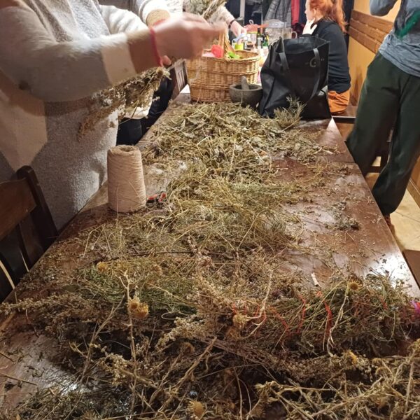 Te kaut kas top.....