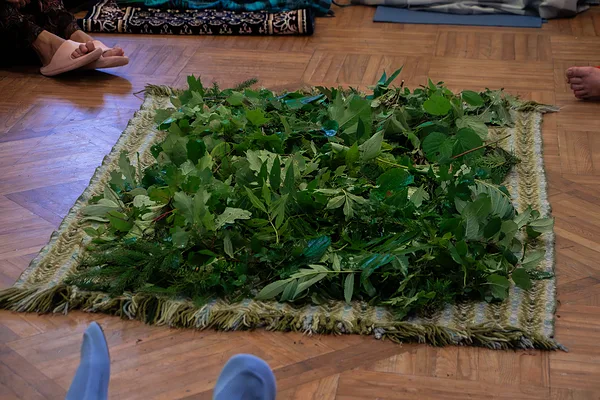 Viesu nama Lauvaskalni pagalmā atrodams bagātīgs augu klāsts