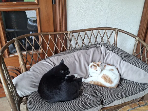 Tumsa un gaisma vienmēr līdzās