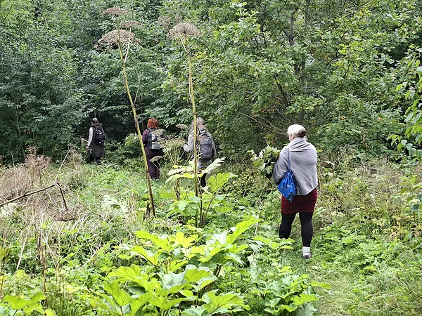 Pastaiga Vāgnera parka dendrārijā, meklējot dziedinošus augus otram cilvēkam