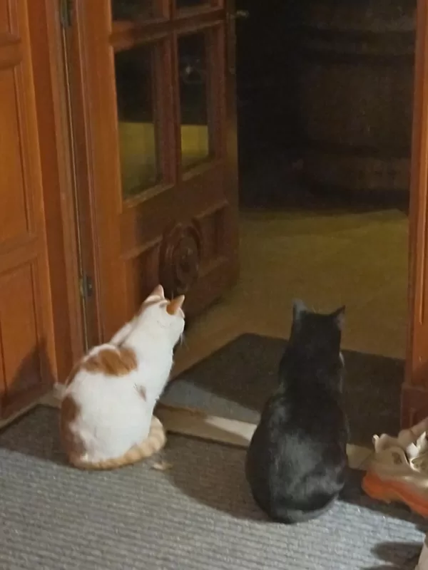 Ir kāds, kas pavada un sagaida...