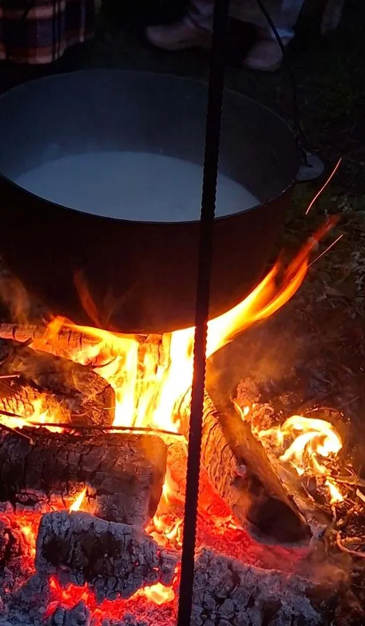 Sildās kaimiņu gotiņu piens