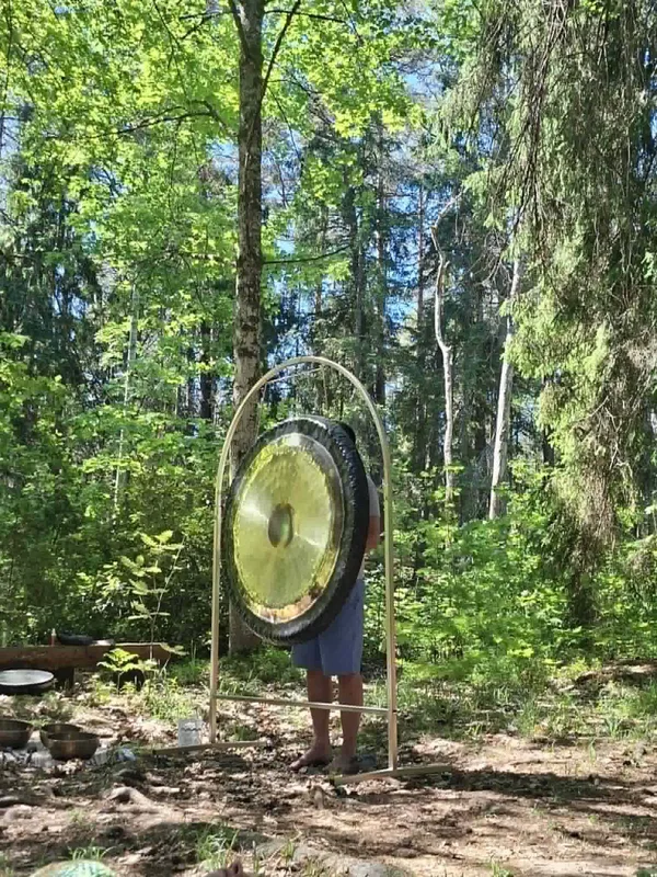 Kosmosa gongs